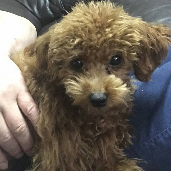 E8a16848 75f3 4ed1 8cd5 a8ad175b3ffa