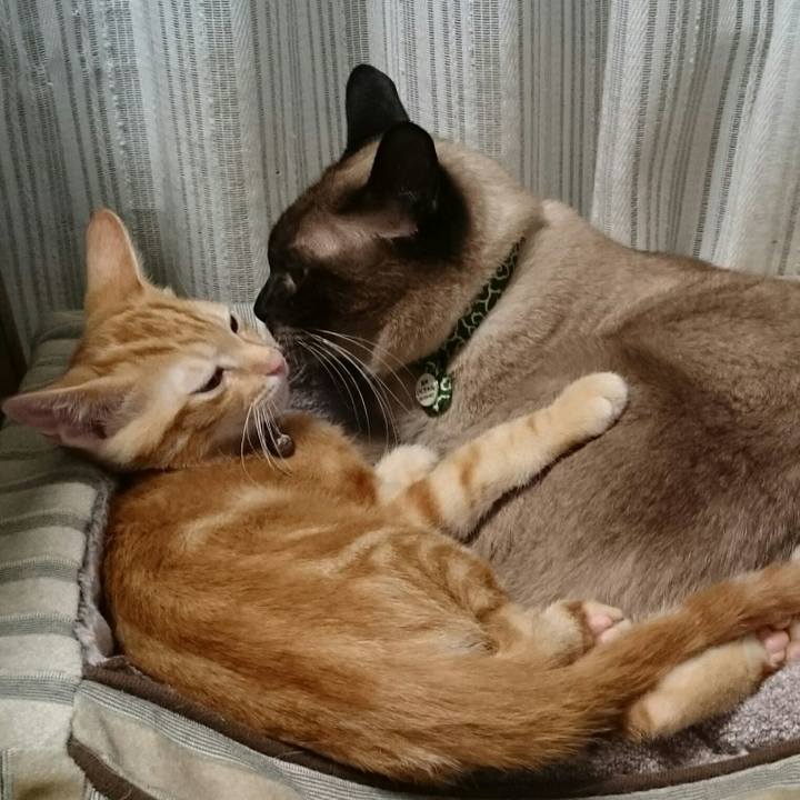 E8a22903 a296 44d9 9d95 84579dc2eefe