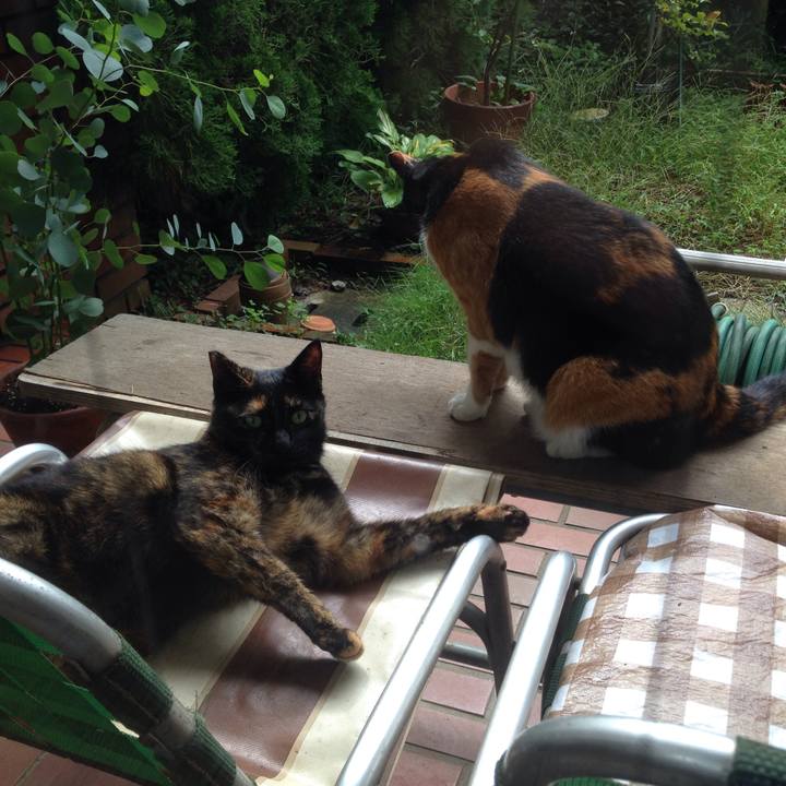 E8a245c9 d4c8 40dd a753 c8deb05d0d10