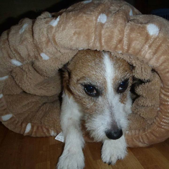 E8a2fd47 08cb 48a8 bad7 8cfa129d7dd9