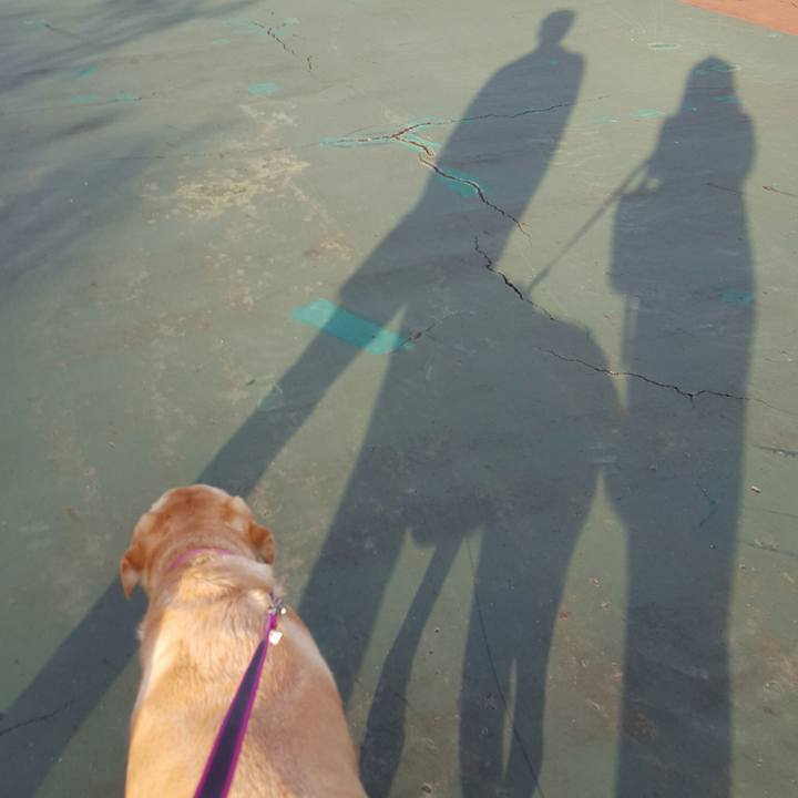 E8a3363b e382 4db0 ba27 254e68a6d607