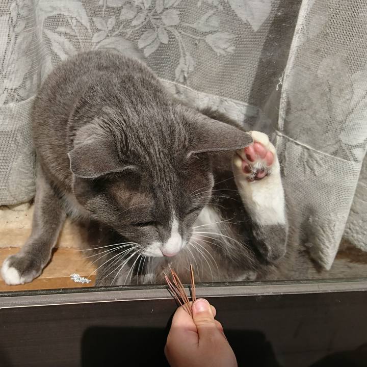 E8a39c91 daa2 4a13 ad2f 5417d45a02c3