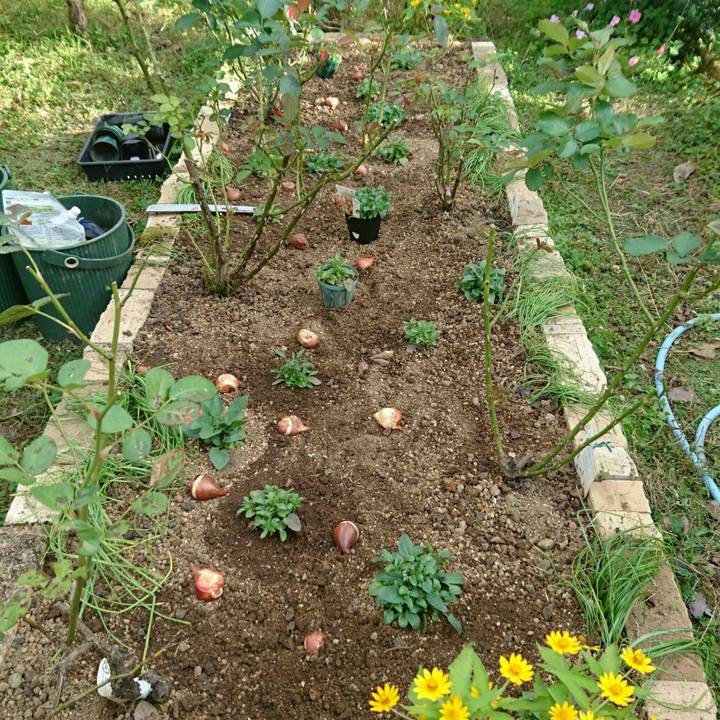 E8a45e68 cdb2 4703 8b2c 10dff99ad44a