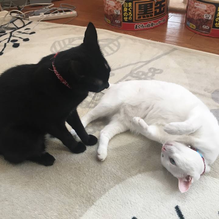 E8a479d0 ec48 41b6 9d67 e64bdf0d7bce