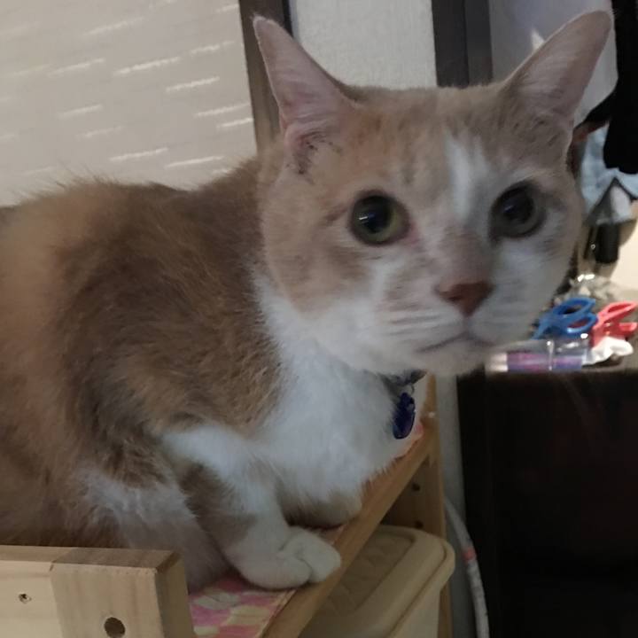 E8a47c76 8fc8 4483 bd6f c74a92e926c2