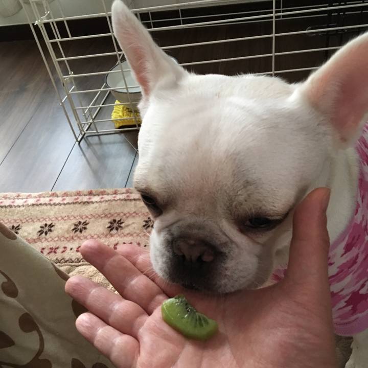 E8a487a2 87ae 44c4 b8ad e6c7f6887d75