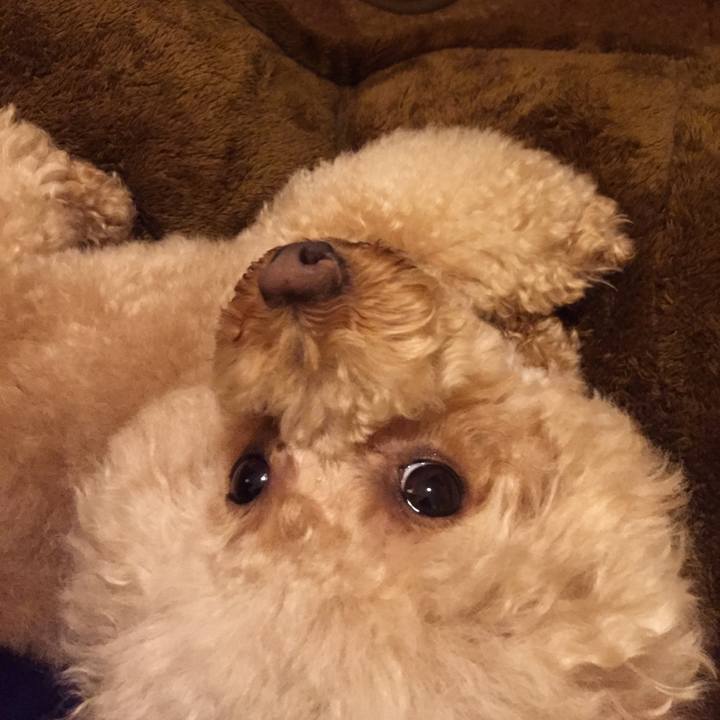 E8a49ebb 99d5 4592 9d6a 63a3e6ac896d