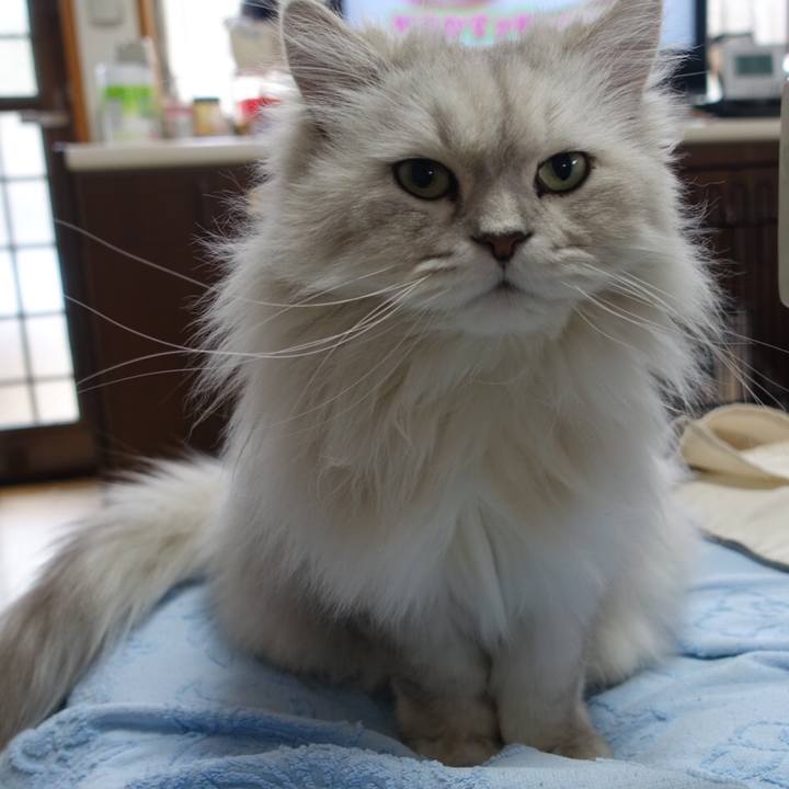 E8a4c937 af63 4057 b1a5 4c000d2ef41c