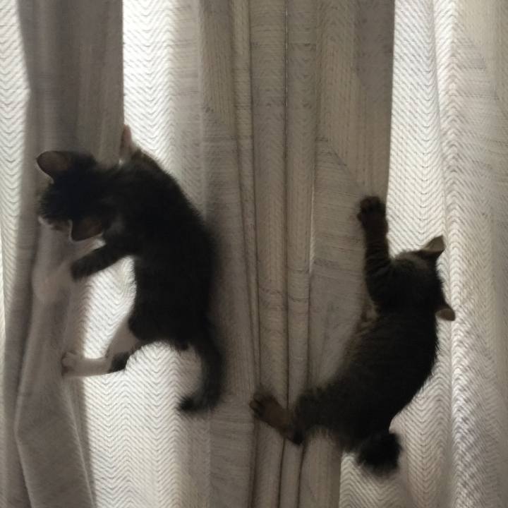 E8a53216 00db 4a7a a1e1 7d86ca76ab34