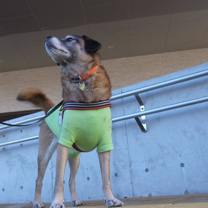 E8a58b19 fc88 4a31 95a8 e594dc972cd0