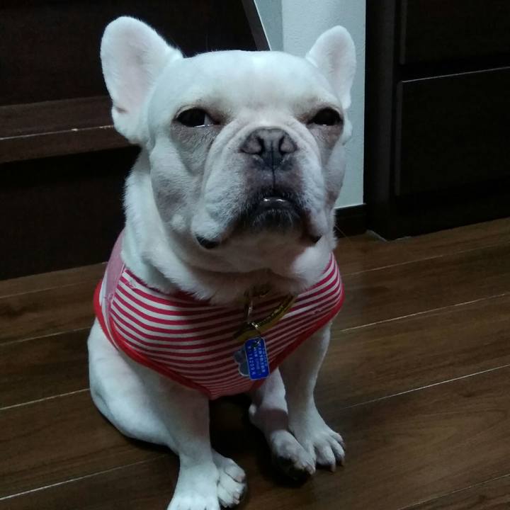 E8a59ac9 b9d2 493d bcc8 966fe21271ec