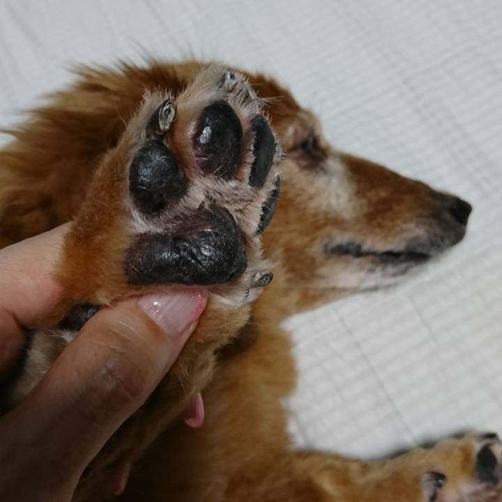 E8a5f211 e15c 4ba1 89d5 c808dfbf831b