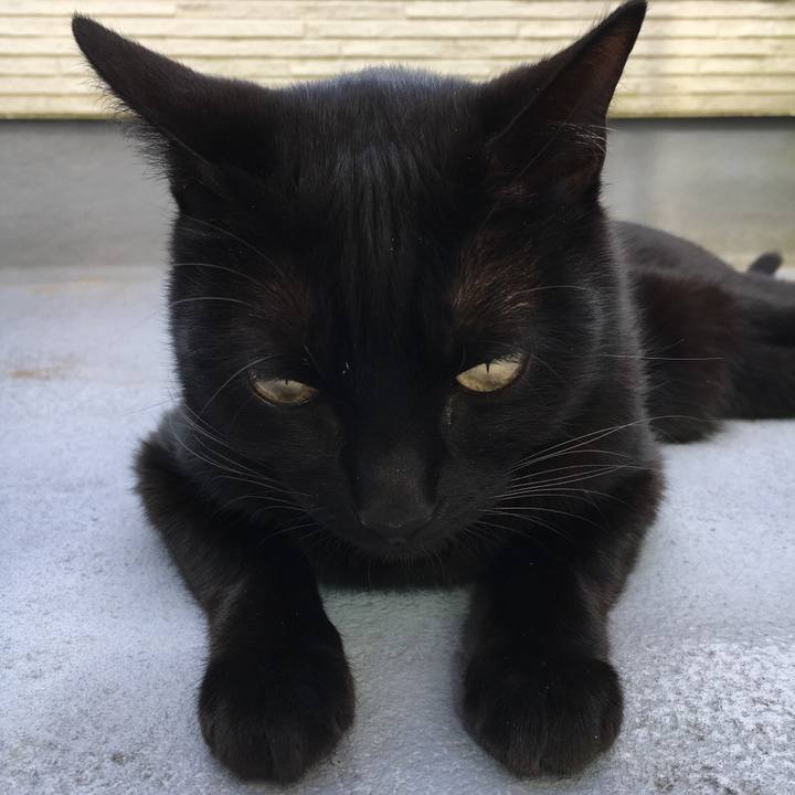 E8a634f5 f0cb 43b1 a96b 825142c6a03d