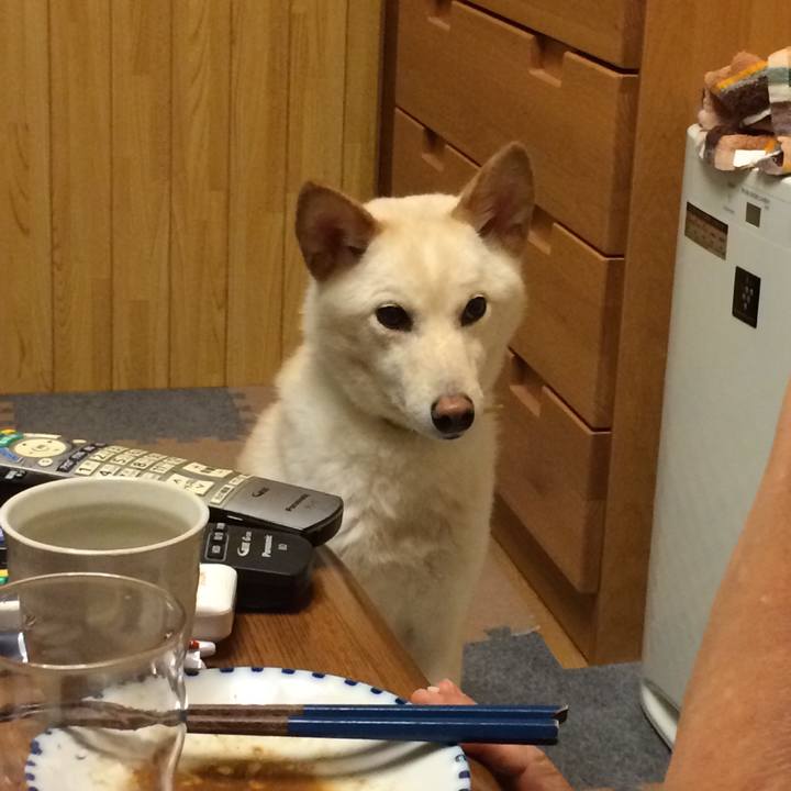 E8a66902 eb2a 4d30 8d95 c5b7678b17e1