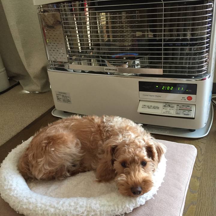 E8a6ddf3 20ef 4445 a60e c5123899935f