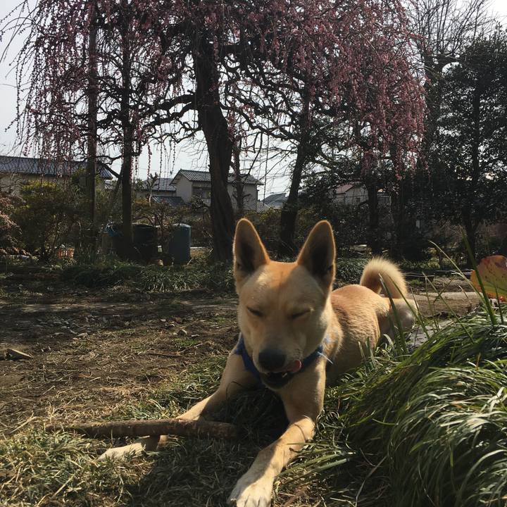 E8a70fe2 4ff3 4ff4 bb99 558ff9be4efe