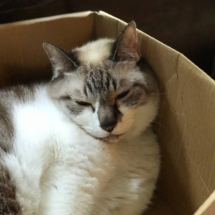 E8a77043 d56c 4203 bdc7 3b66f41b302e