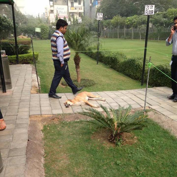 E8a793f3 6eb8 4537 a955 012619624965