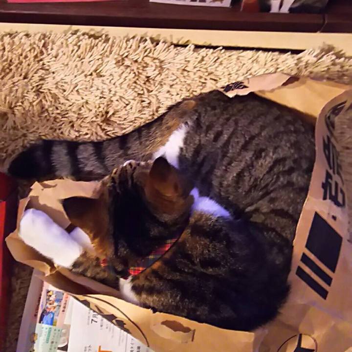 E8a7aa7e 9206 489a 9e53 8f7dbde8a2e2