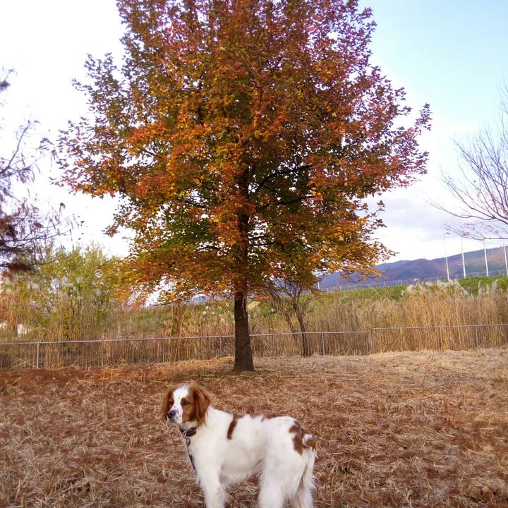 E8a7c563 aae6 4af3 aca1 093e3b3f92e6