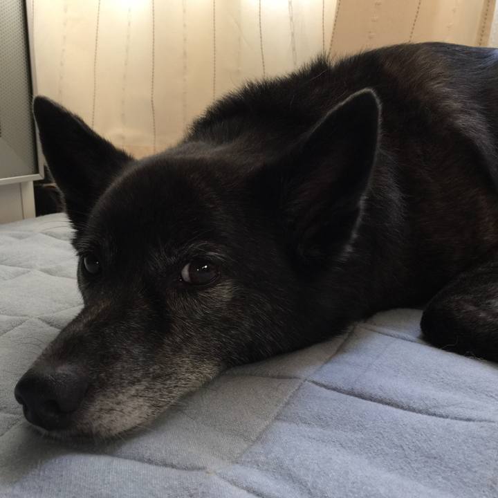 E8a7cec4 835a 4f6b 9c09 65add9c500d8