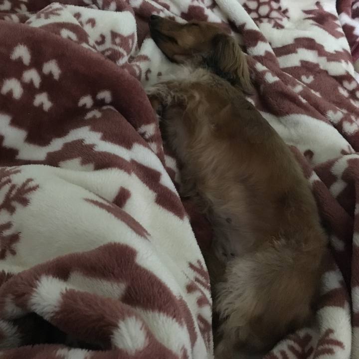 E8a80b24 d1f0 4fd2 8152 8c3d90db8aab