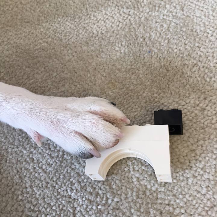 E8a812bb 5011 4fa9 bffe 41ec463a171d