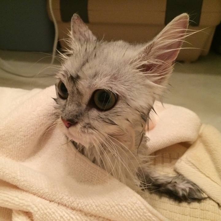 E8a8eef4 57b6 4570 adcf 3234c144b667