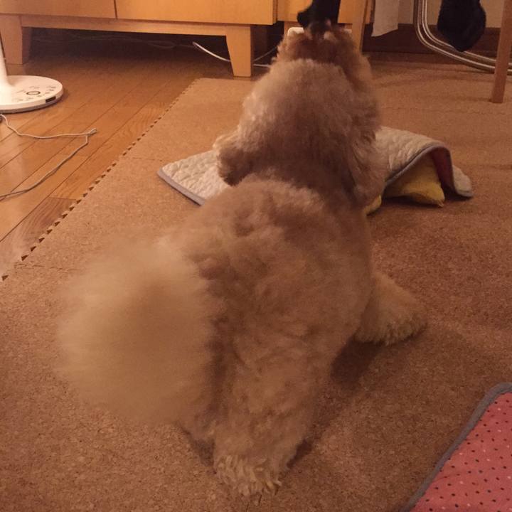 E8a90691 4357 474e b9c6 6b76cb5f8ad6