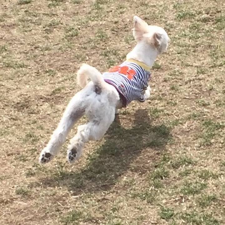 E8a91d2c 2462 408b 809b 7b773279f54f