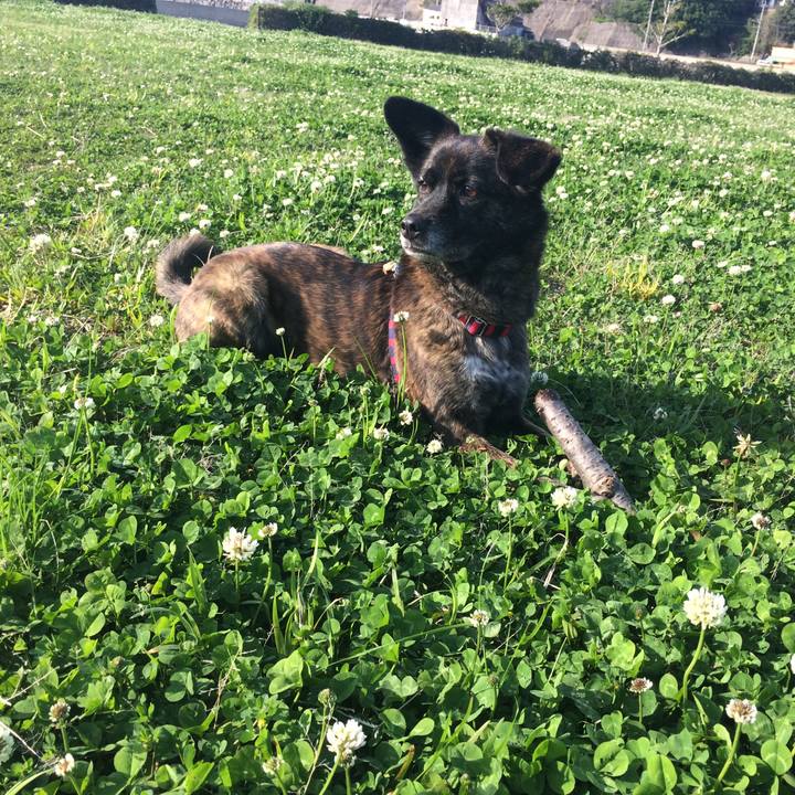 E8a95667 b054 431e a8ca 49288ef4a0ed