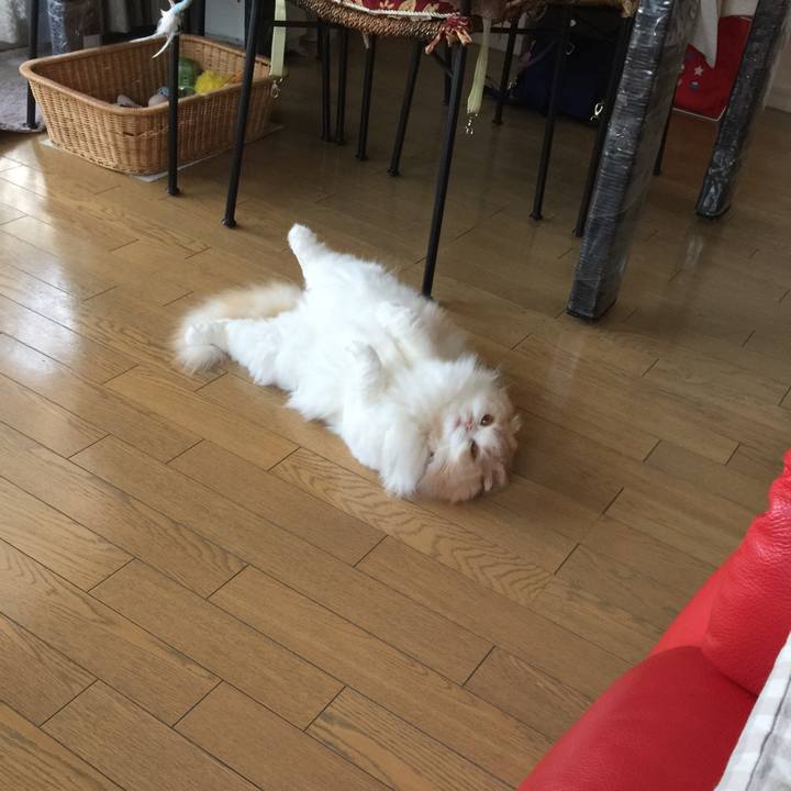 E8a96f0a 98d3 42c5 b287 f5500795775f