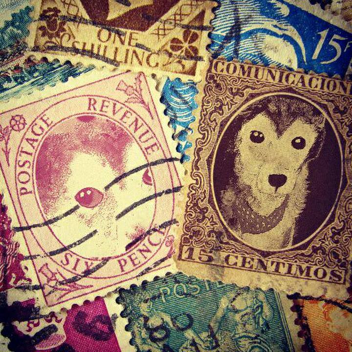 E8a99d45 05da 4ad3 ae8d 38e4d89d8120