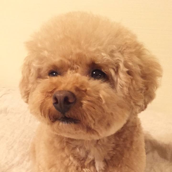 E8a9ca0b 559e 4fba 9712 1df1d6678c93