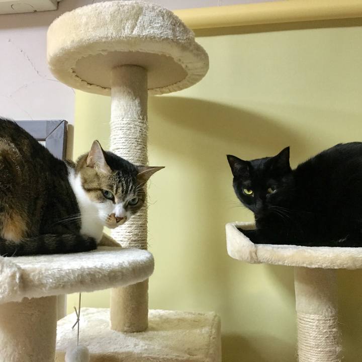 E8ab1935 e8b9 4b29 baa7 e119f065a93d