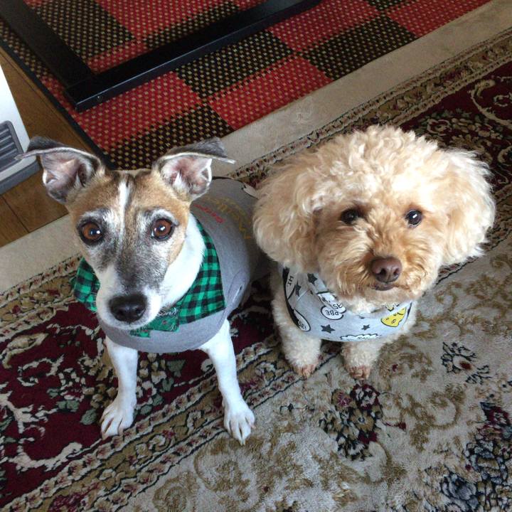 E8ab6072 feeb 4adb ba0c 24d31c56c280