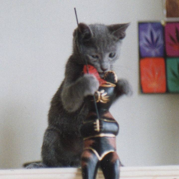 E8ab6911 2733 45c0 a27f e04a6e925dd5