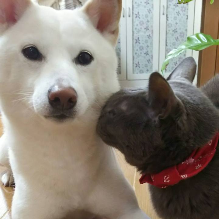 E8abd9eb 8c23 4ff0 8719 ad501a35d464