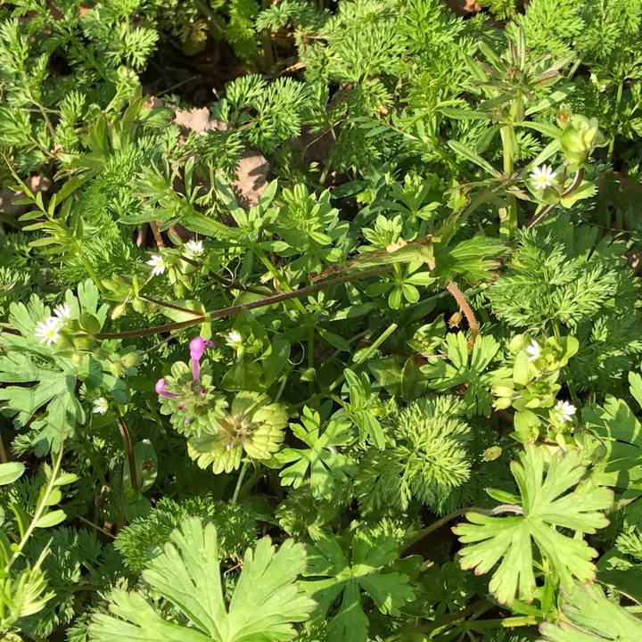 E8ac04d1 450a 4f52 9320 2156f670d0e1