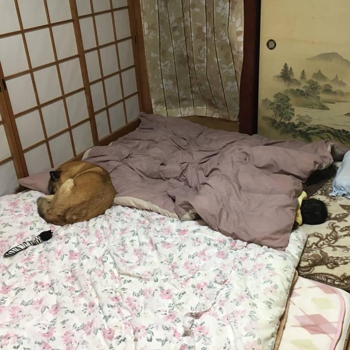 E8ac350c 9188 47f9 bbdf c815eecd92f4