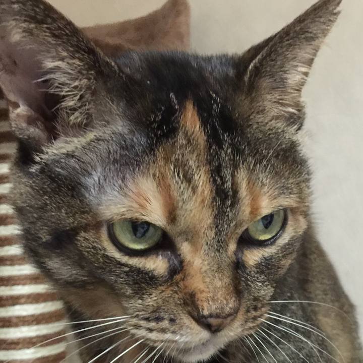 E8ac49aa 8968 4453 be77 fbab580c7f20