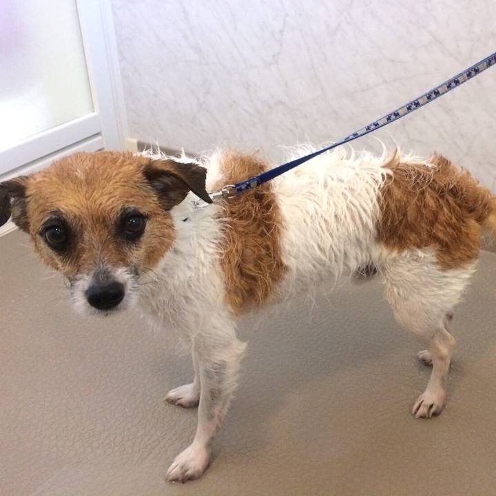 E8acc362 6c07 46d5 86a0 045113a9ba35