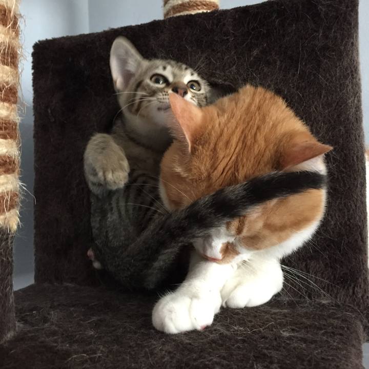 E8acef5c a786 4eaf 9fb4 3ae87112e05a