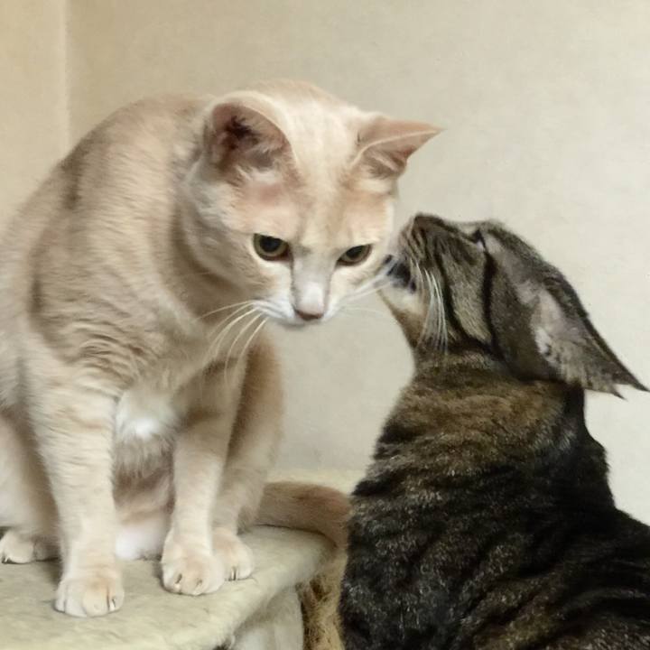 E8ad9080 61e5 4428 bb9b 68a62a640122