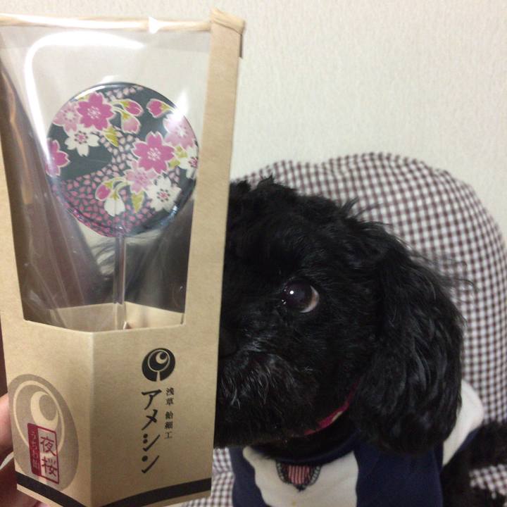 E8add045 0177 4c41 a6b4 59ca7f1f3eb0