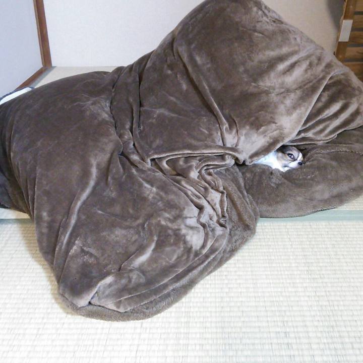 E8add6a5 a985 4eb0 bec0 20a7fa8ac578