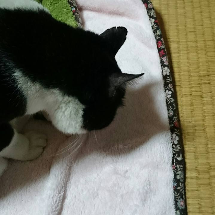 E8ae025d 18f5 41de bd36 6f2072d2e8dd