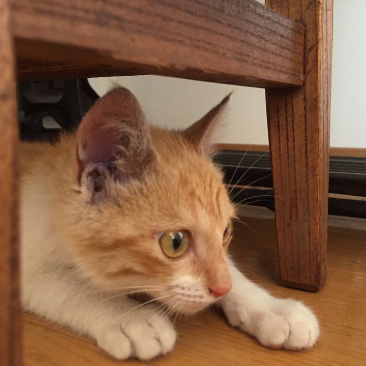 E8ae48e0 a0a6 48f7 863c 6e837e34e92b