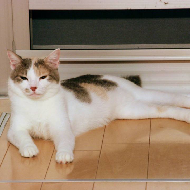 E8ae673d 4712 4dc2 88ed bfc45d8c917d