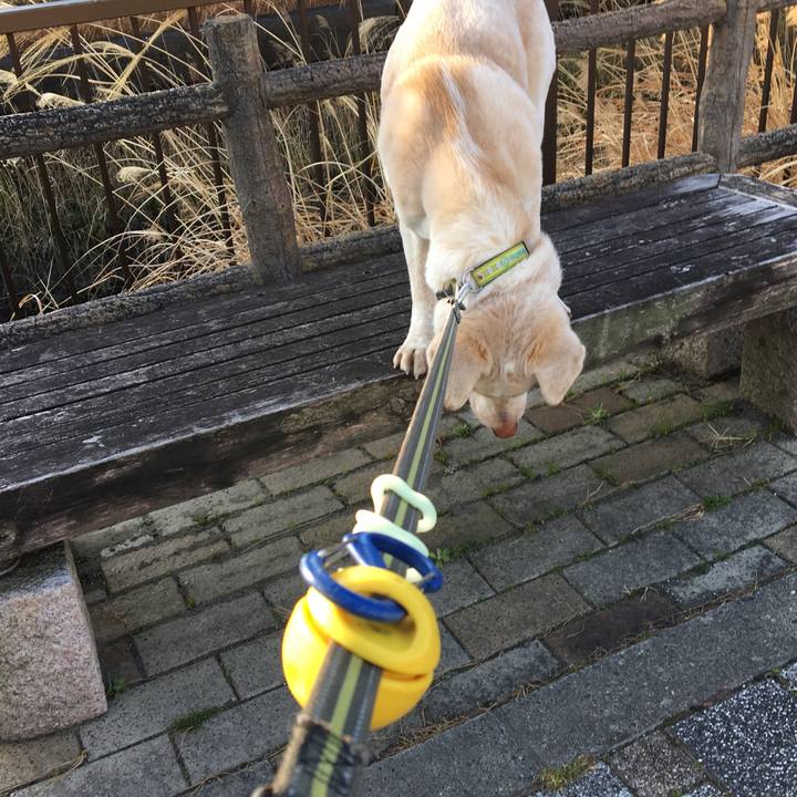 E8aedf0c 9fef 4b35 b939 486759d1560a